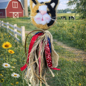 critter poke barn cat